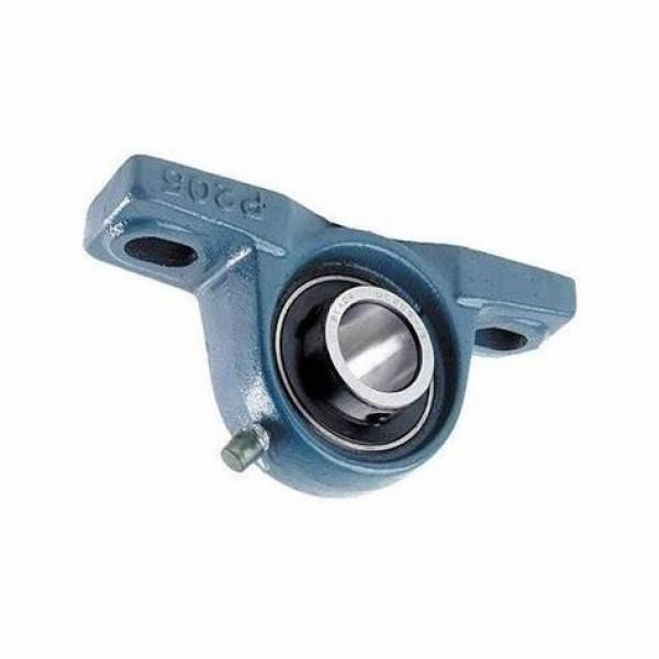 Chrome Steel Pillow Block Bearing with Cast Iron Flange UCP205 208 210 with Bearing Housings #1 image